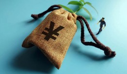 探讨分期占用额度管理策略与实践