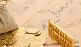 掌握安逸花借款申请的实用技巧攻略